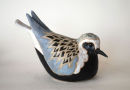 Grey Plover