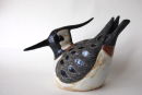 lapwing