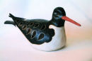 oystercatcher