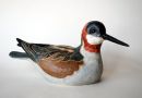 Red Necked Phalarope
