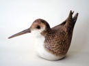 woodcock