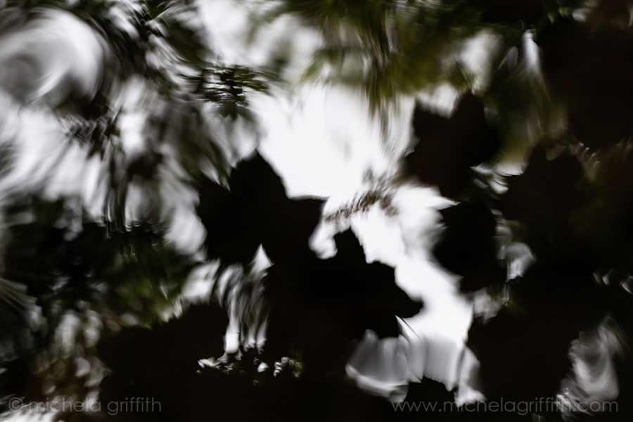 19 August 2018. Made for World Photography Day and the image that started the 6-Ten