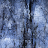 Print Auction & Sale for Marc Elliott 27 July to 16 August