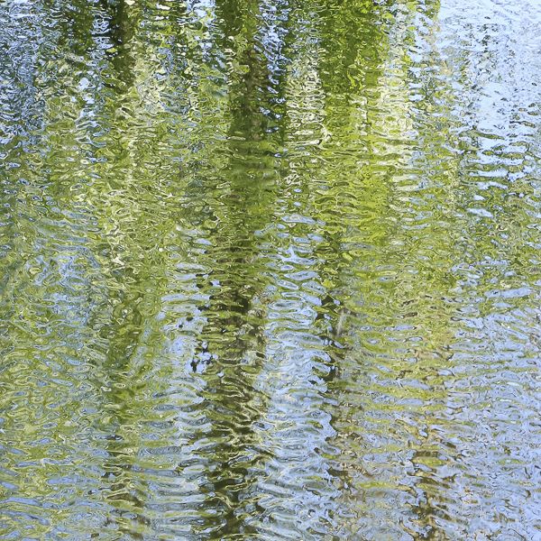 Nature as Artist