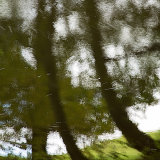 The River Pastoral