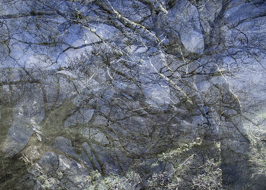 Enchantment