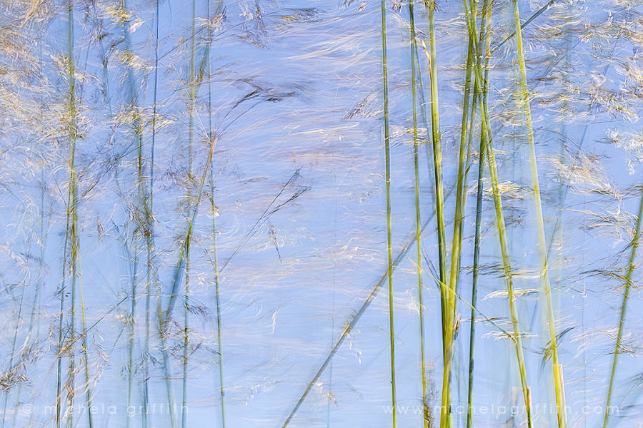 Summer's Breath