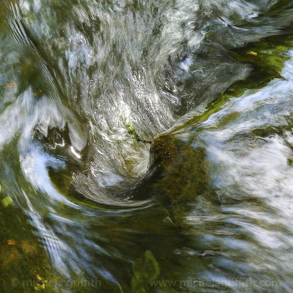 Vortex I