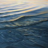 languid 100x100cm (sold)