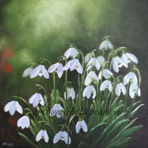 Snowdrops