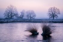 Hatertse Vennen Landschap DSC5376