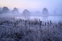 Hatertse Vennen Landschap DSC5377