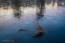 Hatertse Vennen Landschap DSC5864