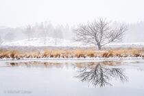 Hatertse Vennen Landschap DSC7328