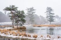 Hatertse Vennen Landschap DSC7369
