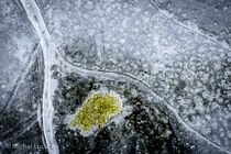 Hatertse Vennen Landschap JBR5676