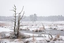 Hatertse Vennen Landschap MK00049