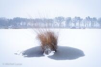 Hatertse Vennen Landschap MK05583