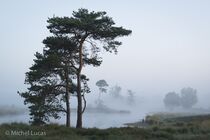 Hatertse Vennen Landschap  DSC0174