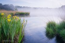 Hatertse Vennen Landschap  DSC0337