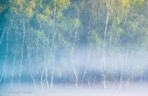 Hatertse Vennen Landschap  DSC1342 orton 25%