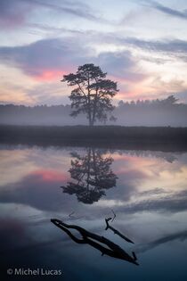 Hatertse Vennen Landschap  DSC5284