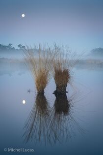 Hatertse Vennen Landschap  DSC7946