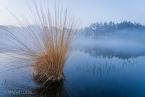 Hatertse Vennen Landschap  DSC8319