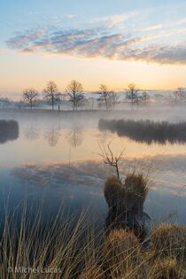 Hatertse Vennen Landschap  DSC8387