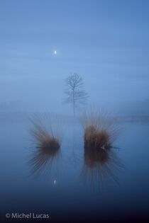 Hatertse Vennen Landschap  DSC9043