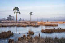 Hatertse Vennen Landschap  DSC9988