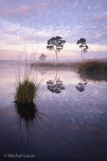 Hatertse Vennen Landschap  JBR6919