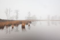 Hatertse Vennen Landschap  MG 8084