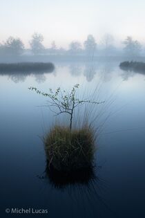 Hatertse Vennen Landschap  MK06556