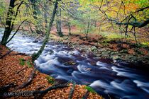 Hoge Venen Landschap DSC0749
