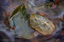 Hoge Venen Landschap DSC2291