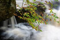 Hoge Venen Landschap DSC3210