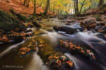 Hoge Venen Landschap MG 6020