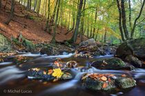 Hoge Venen Landschap MG 6195