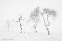 Hoge Venen Noir Flohay Landschap JBR5023