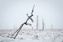 Hoge Venen Noir Flohay Landschap JBR5232