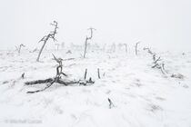 Hoge Venen Noir Flohay Landschap JBR5727