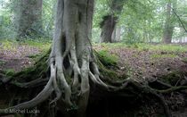 Jansberg Landschap  DSC1100
