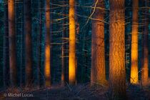 Jansberg Landschap  DSC1231