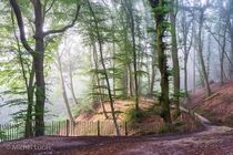 Jansberg Landschap  DSC1594