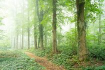 Jansberg Landschap  DSC1633