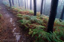 Jansberg Landschap  DSC4623