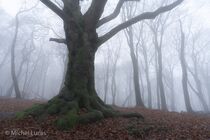Jansberg Landschap  DSC8387