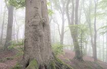 Jansberg Landschap  DSC9161