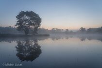 Maasduinen Landschap  DSC8992